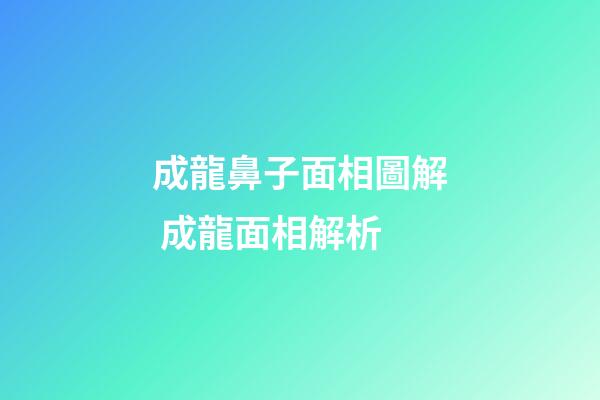 成龍鼻子面相圖解 成龍面相解析